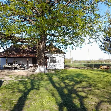 Holiday home Kod Stare Vodenice Vrbnica