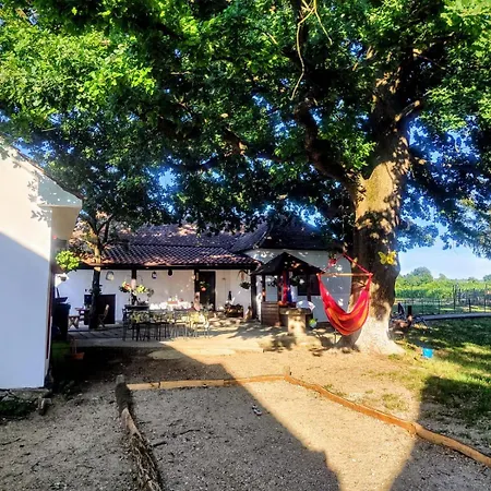 Holiday home Kod Stare Vodenice